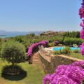 Villa Rosa - 6 / 16